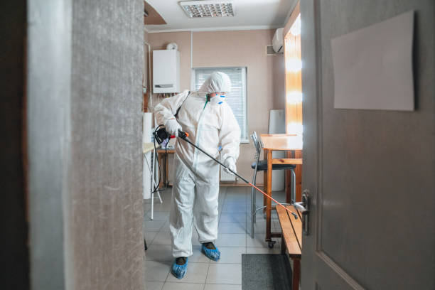 Galena, IL Mold Inspection, Removal & Remediation Company